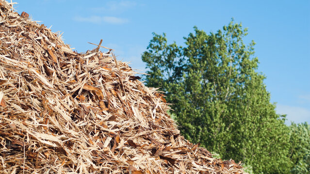 The photo shows wood chips against a backdrop of blue sky and green trees