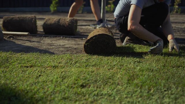 Man unrolling sod for new lawn installation in backyard, landscaping work in progress.