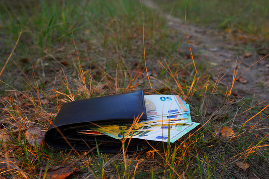 Lost wallet with euro money lies on ground in grass. Wallet with EU cash banknotes on forest path. Wallet with euro bills found in grass. Euro bills money in grass. Suddenly finding or losing money.