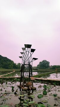Traditional Wooden Water Wheel Spinning Slowly in a Lotus Pond at Ninh Binh Landscape on a Calm, Overcast Day