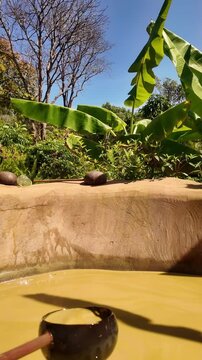 Pouring Mineral Mud Bath with Coconut Ladle at Wellness Spa Resort on Phu Quoc Island Vietnam in Bright Sunlight