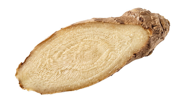 Fresh ginger slice showing natural texture, raw ginger root cross section with brown skin, organic ginger spice for healthy culinary cooking isolated PNG with Transparent Background