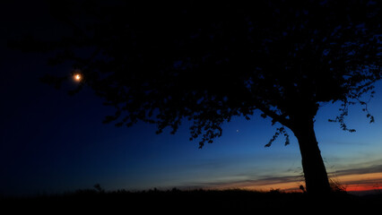 Moon on a twilight sky with stars, planets and landscape mountain silhouettes. © astrosystem