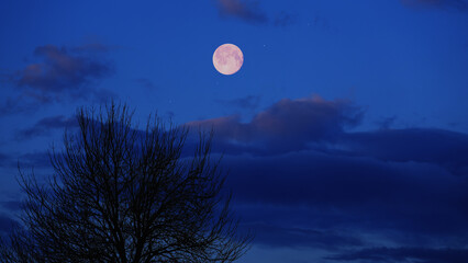 Full Moon, stars and planets above landscape silhouettes. © astrosystem
