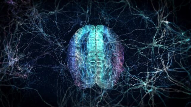 Transparent particle brain dynamically displayed in top view on black background