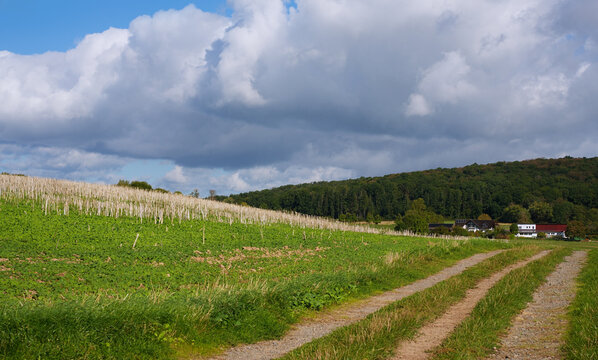 Landwirtschaftliche Felder auf dem Dorfe am Rande der Stadt mit Feldweg