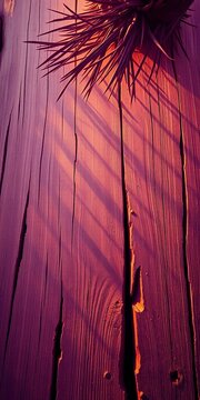 Top-down view of splintered, aged pine, kissed by violet cyberpunk haze, a textured foundation for the unreal ,  neon,  copy space