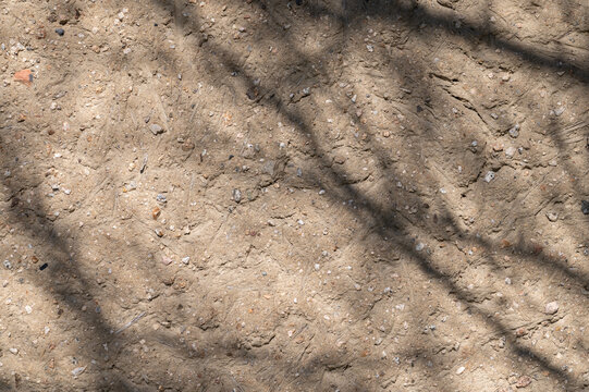 Shadows of tree branches reflected on a traditional Japanese mud wall with soft natural sunlight
