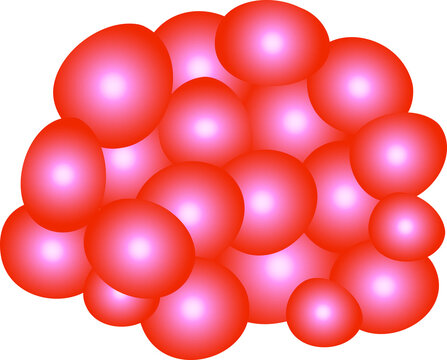 cancer cells ,  vector design