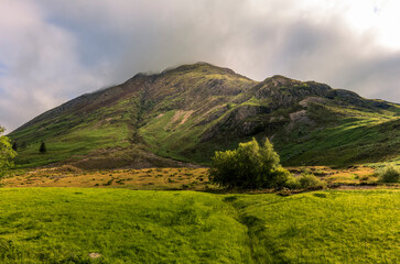 Fototapeta premium Heather-covered moorland hillside beneath a wide sky on the West Highland Way