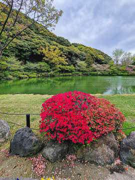 The city of Beppu in Japan, famous for its many hot springs