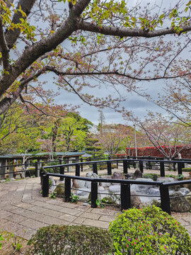 The city of Beppu in Japan, famous for its many hot springs
