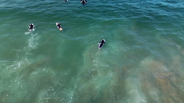 High-angle ocean view of surfers in wetsuits paddling and waiting on surfboards near sandy shore, with turquoise to deep teal waves under bright daylight, summer coast