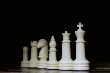chess pieces on the board © Ana Maria
