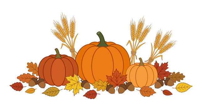 Autumn harvest pumpkin border vector illustration, thanksgiving pumpkins with foliage and wheat stalks, fall season decorative crop banner graphic
