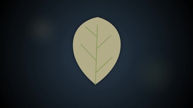 Minimalist leaf icon on dark background with subtle texture