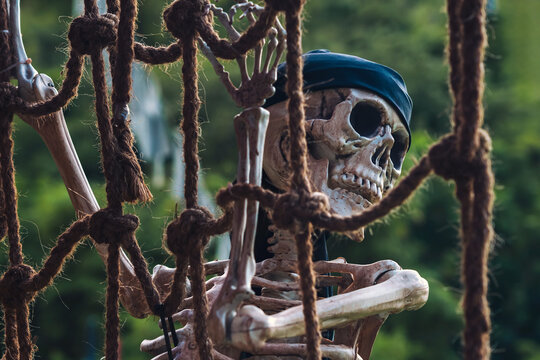 Pirate skeleton prop wearing black bandana climbing rope net for Halloween decor. Concept for pirate ship themes, Halloween haunted house props, adventure park decorations, and seasonal spooky events.