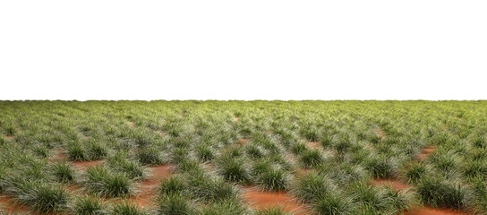 Obraz premium Grassy ranch fields scenic environmental cut out backgrounds 3d render png