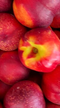 Close overhead view of ripe apricots and nectarines settling in packed produce display, warm diffused light revealing round textures and small skin blemishes