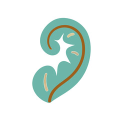 Obraz premium Stylized human ear illustration