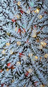Christmas Tree Branches Covered in Snow and Twinkling Lights, Gently Falling and Settling Over Time. with Winter