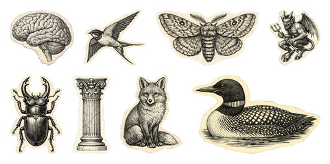 Obraz premium PNG Vintage engraved animal and nature illustration collage set, transparent background
