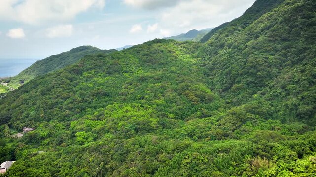 Aerial of the forest covered mountains on the east coast of Taiwan.