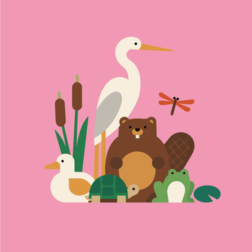 Cute Wetland Animals &ndash; Beaver, Heron, Duck, Turtle and Frog Illustration