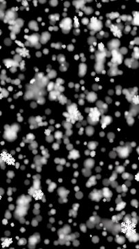 Falling Snowflakes Animation with Gentle Snowfall and Swirling Motion, Creating a Wintery Atmosphere. and Motion Graphics