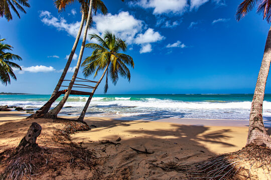 Wooden structure leaning on palm trees on playa limon beach, dominican republic