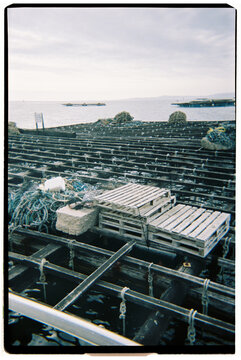 Batea mussel farm in Galicia water