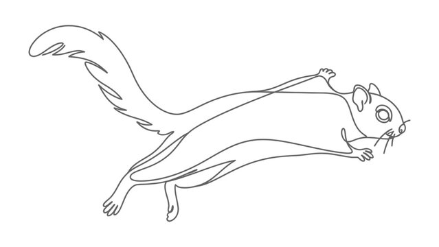 Flying Squirrel Illustration: A minimalist line drawing depicts a flying squirrel in mid-air, showcasing its gliding membrane and bushy tail in a dynamic pose.