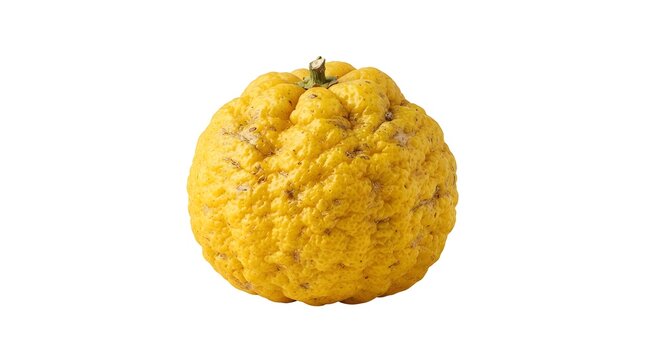 Whole ripe yellow Yuzu fruit isolated on white background, citrus junos citrus fruit with textured skin for culinary and cosmetic ingredients