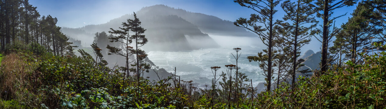 Beautiful wide panoramic view of a green forest and mountains heavily covered in dense white fog at sunrise