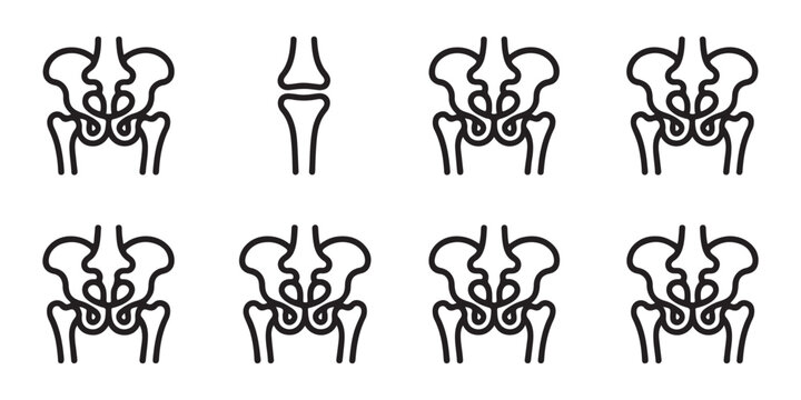 Pelvis bone and knee joint line icons on transparent background for orthopedic healthcare and science.