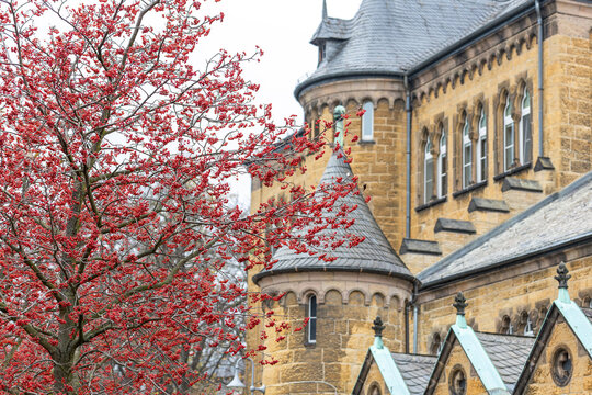 Historic stone architecture in Goslar rises behind vivid red rowan berries during autumn. Romanesque details, slate roofs and turrets create scenic heritage atmosphere in old German town center