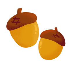 Two Autumn Acorns Isolated © Devina Oktaviani
