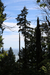 Vancouver area © HeliosFrancisco