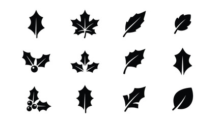 Fototapeta premium Black and White Holiday Leaf and Holly Branch Vector Designs with Berries