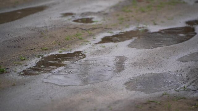 Simple view of ground after a storm