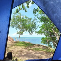View from inside a camping tent looking out to the blue sea and green trees on a sunny day © Its_Julee
