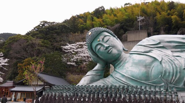 Reclining Buddha giant bronze statue at Nanzoin Temple in Sasaguri, Japan, Kasuya district, Fukuoka Prefecture, Kyushu Island, with cherry blossoms and bamboo forest on spring day, peaceful landscape