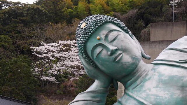 Reclining Buddha giant bronze statue at Nanzoin Temple in Sasaguri, Japan, Kasuya district, Fukuoka Prefecture, Kyushu Island, with cherry blossoms and bamboo forest on spring day, peaceful landscape