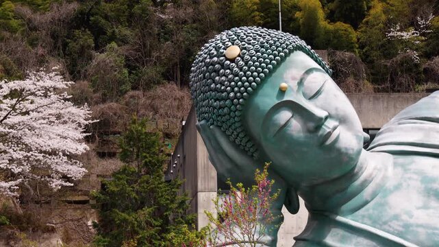 Reclining Buddha giant bronze statue at Nanzoin Temple in Sasaguri, Japan, Kasuya district, Fukuoka Prefecture, Kyushu Island, with cherry blossoms and bamboo forest on spring day, peaceful landscape
