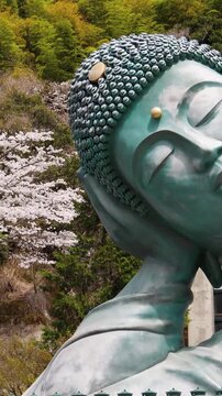 Reclining Buddha giant bronze statue at Nanzoin Temple in Sasaguri, Japan, Kasuya district, Fukuoka Prefecture, Kyushu Island, with cherry blossoms and bamboo forest on spring day, peaceful landscape