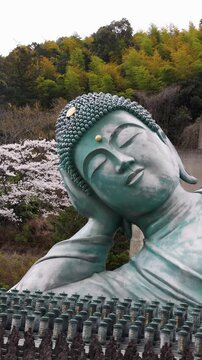 Reclining Buddha giant bronze statue at Nanzoin Temple in Sasaguri, Japan, Kasuya district, Fukuoka Prefecture, Kyushu Island, with cherry blossoms and bamboo forest on spring day, peaceful landscape