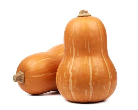 Fresh organic butternut squash with natural ridges and stem on white background