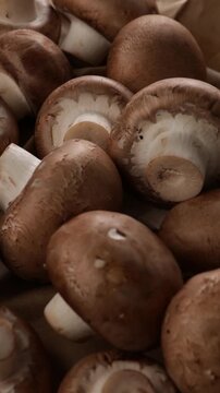 closeup of champignon mushrooms rotation food background