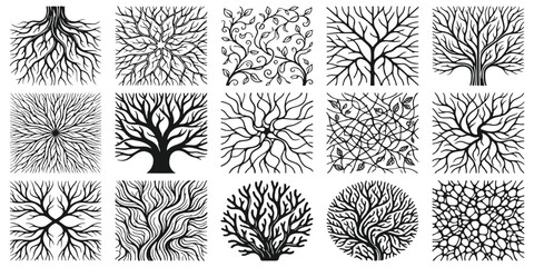 Obraz premium Abstract tree roots and branches line art patterns set with botanical nature elements vector illustration.