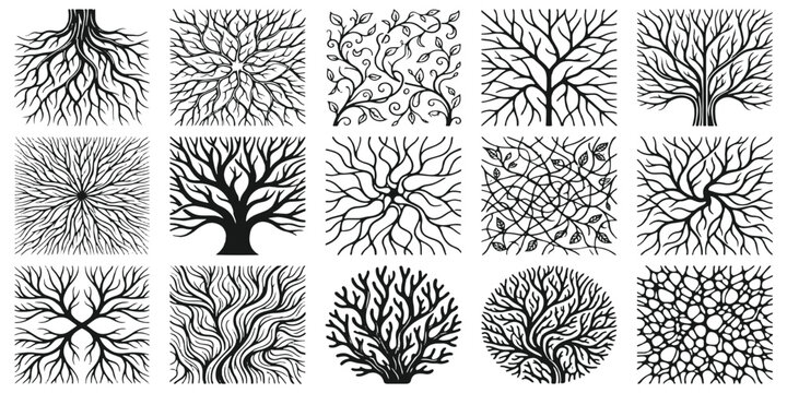 Abstract tree roots and branches line art patterns set with botanical nature elements vector illustration.